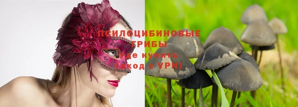 марихуана Лабытнанги