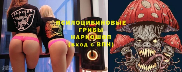 МДМА Лагань